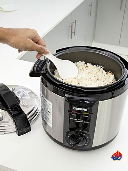 قیمت زودپز برقی جی پاس اصل